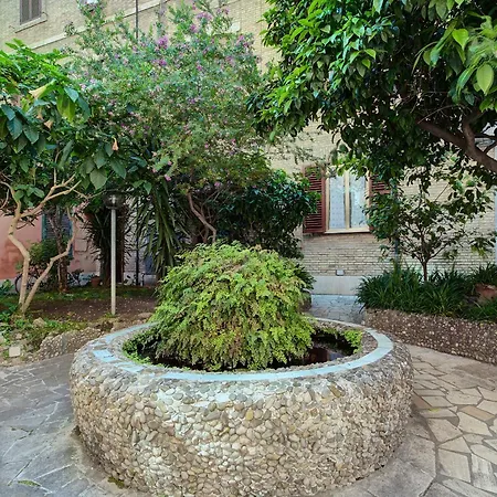 Irex Near Vatican Museum New Rome